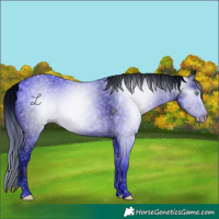 Horse Color:ERROR: UNKNOWN ANOMALY