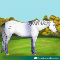 Horse Color:ERROR: UNKNOWN ANOMALY