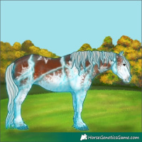 Horse Color:Thunderstruck White Spotted Silver Brown Ice Tobiano Rabicano 