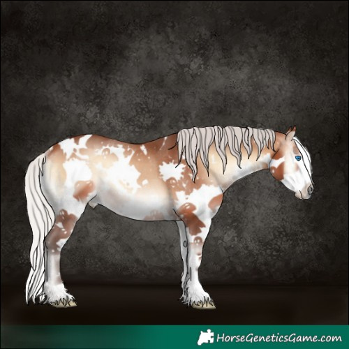 Horse Color:White Spotted Silver Brown Onyx Splash Rabicano