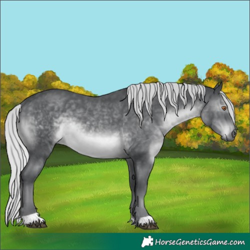 Horse Color:Silver Black Chinchilla