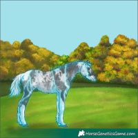 Horse Color:Thunderstruck Silver Black Chinchilla Ice Tobiano Rabicano 