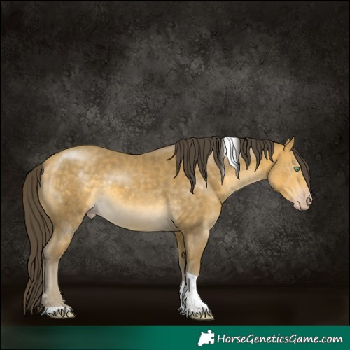 Horse Color:Sable Cream Champagne Mushroom Tobiano Rabicano 