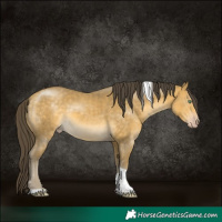 Horse Color:Sable Cream Champagne Mushroom Tobiano Rabicano 