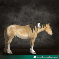 Horse Color:Sable Cream Champagne Mushroom Tobiano Rabicano 