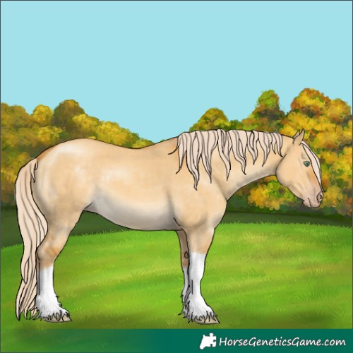 Horse Color:Gold Cream Champagne Dun Mushroom Tobiano 