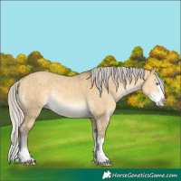 Horse Color:Silver Sable Cream Champagne Dun Mushroom Sabino Rabicano 