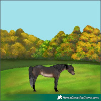 Horse Color:Void Brown Tobiano 
