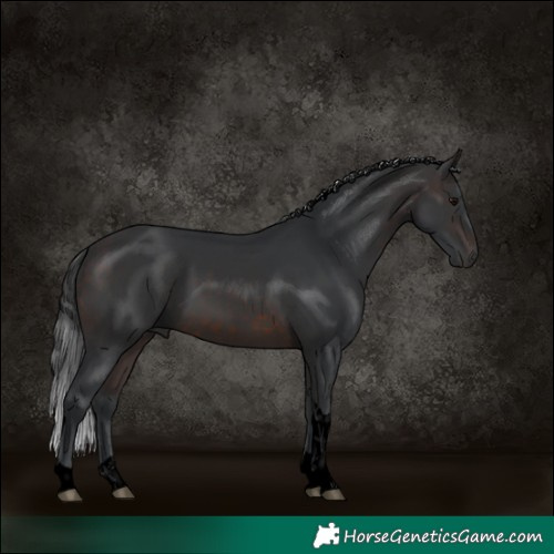Horse Color:Void Brown Tobiano 