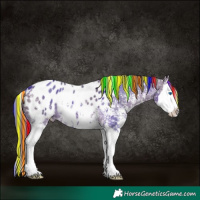 Horse Color:Painted Brown Dun Sabino Splash Blanket 