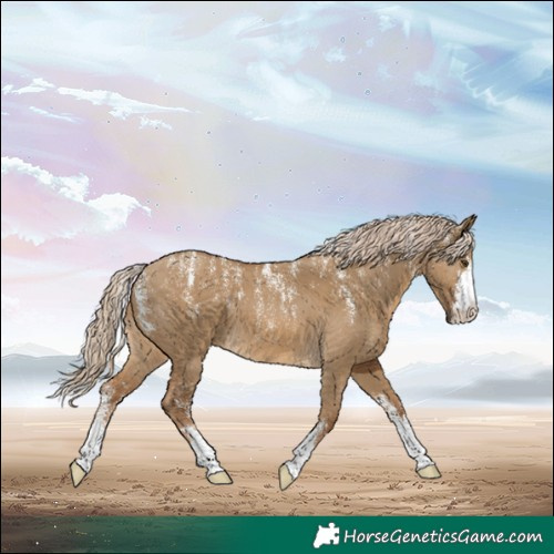 Horse Color:Powder White Chocolate Palomino Dun 