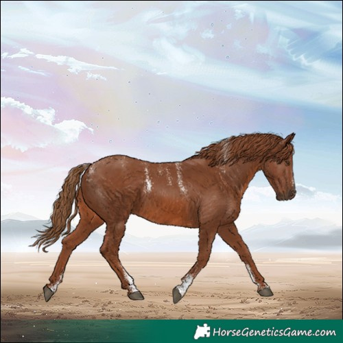 Horse Color:Powder White Chestnut 