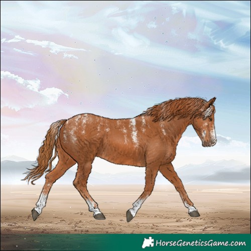 Horse Color:Powder White Chestnut 