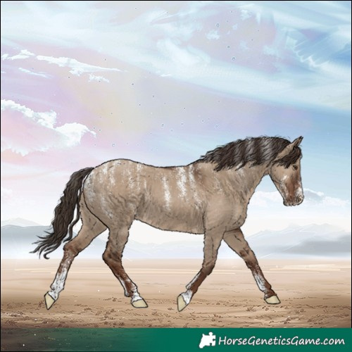 Horse Color:Powder White Liver Red Dun 