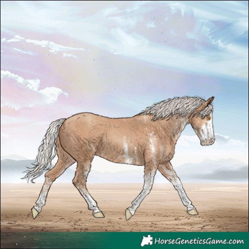 Horse Color:White Spotted Silver Classic Champagne 