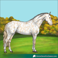 Horse Color:Red Dun Tobiano Near Leopard 