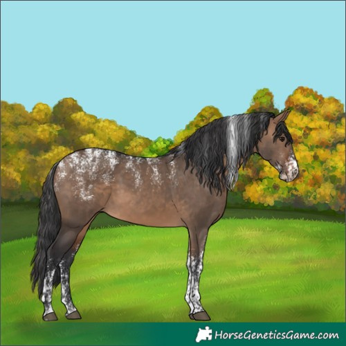 Horse Color:Powder White Brown Dun 