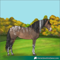 Horse Color:Powder White Brown Dun 