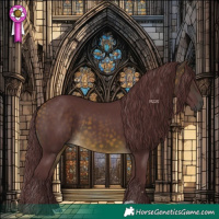 Horse Color:Chocolate Buckskin