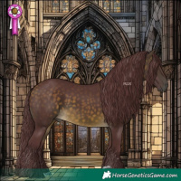 Horse Color:Chocolate Buckskin 