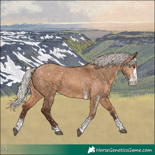 Horse Color:White Spotted Silver Brown Dun Snowflake Varnish 