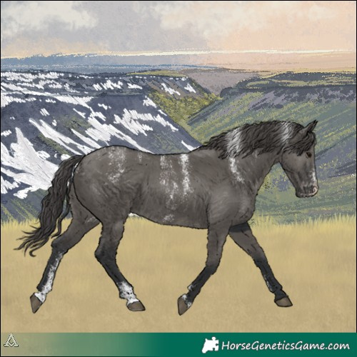 Horse Color:Powder White Grullo Varnish 