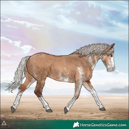 Horse Color:White Spotted Silver Bay Dun 