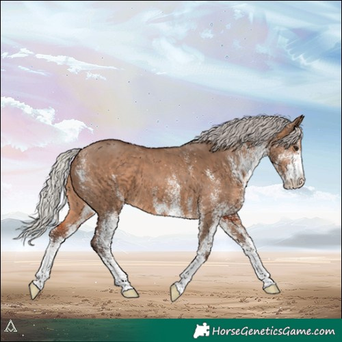 Horse Color:White Spotted Silver Brown Dun 