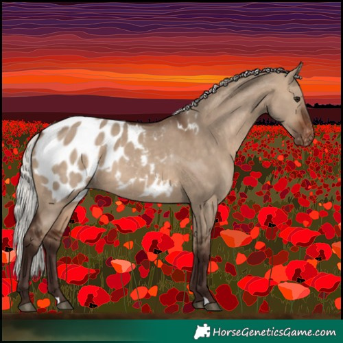 Horse Color:Silver Brown Dun Blanket