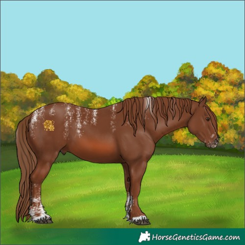 Horse Color:Powder White Chestnut 