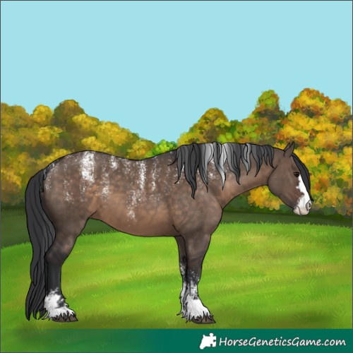 Horse Color:Powder White Brown Dun 