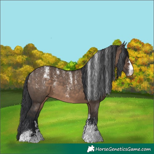 Horse Color:Powder White Brown Dun 
