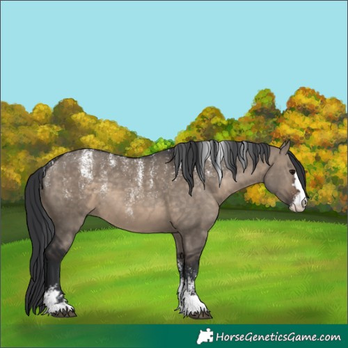 Horse Color:Powder White Brown Dun 