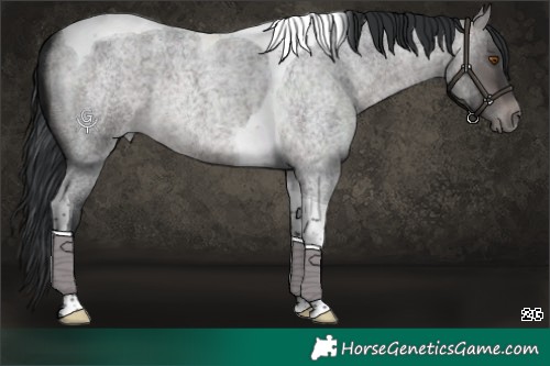 Horse Color:Platinum Brown Roan Dun Tobiano 
