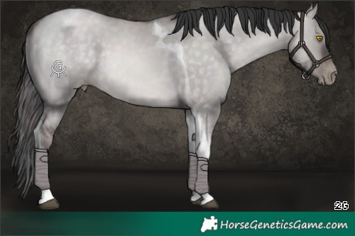 Horse Color:Platinum Brown Pearl Dun Tobiano 