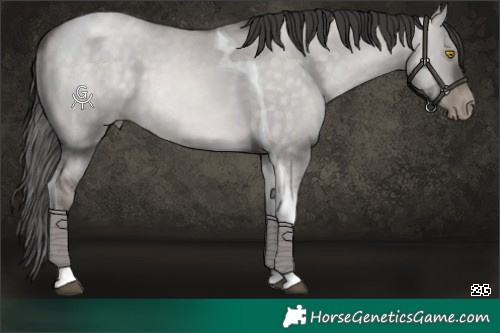 Horse Color:Platinum Brown Pearl Dun Tobiano 