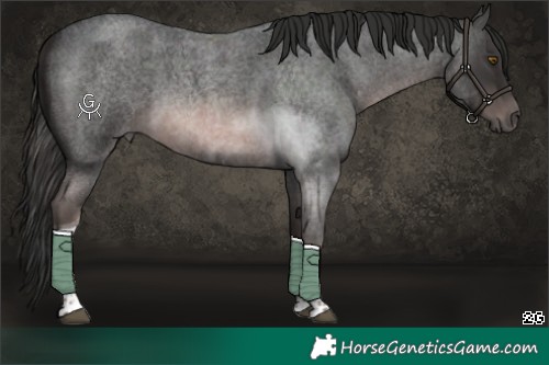 Horse Color:Platinum Red Roan Tobiano 