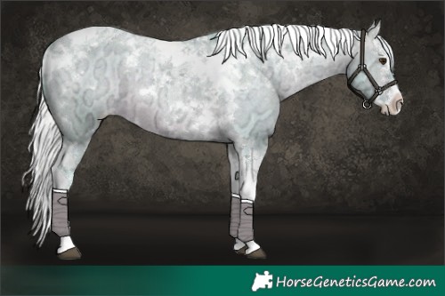 Horse Color:Watercolor White Spotted Silver Brown Ice Dun Splash Tobiano Varnish 