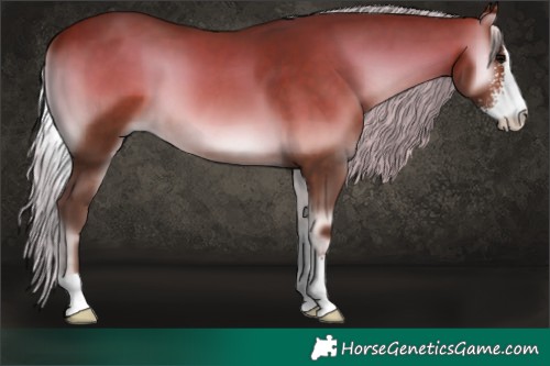 Horse Color:Silver Brown Onyx Sabino 