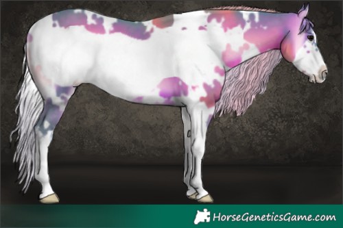 Horse Color:Watercolor White Spotted Silver Brown Onyx Frame 