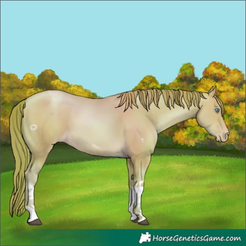 Horse Color:Watercolor Buckskin Pearl Tobiano 