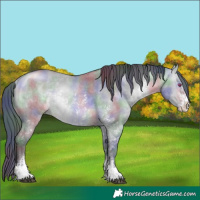 Horse Color:Nacre Brown Chinchilla Dun Sabino Rabicano 