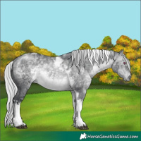 Horse Color:Silver Brown Chinchilla Tobiano Rabicano 