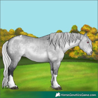 Horse Color:Silver Brown Chinchilla Dun Tobiano Rabicano 