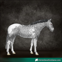 Horse Color:Brown Chinchilla Ice Onyx Tobiano 