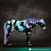 Horse Color:Painted White Spotted Buckskin Pearl Onyx Splash Appaloosa 
