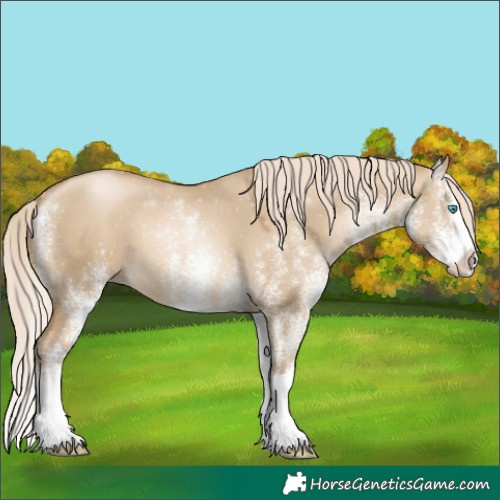 Horse Color:White Spotted Chocolate Palomino Pearl Dun Splash 