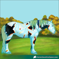 Horse Color:Thunderstruck Watercolor White Spotted Red Dun Ice Pearl Splash Rabicano 
