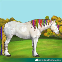 Horse Color:Painted Red Dun Ice Splash 