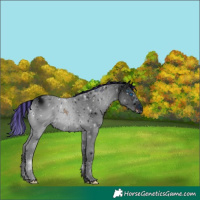 Horse Color:ERROR: UNKNOWN ANOMALY